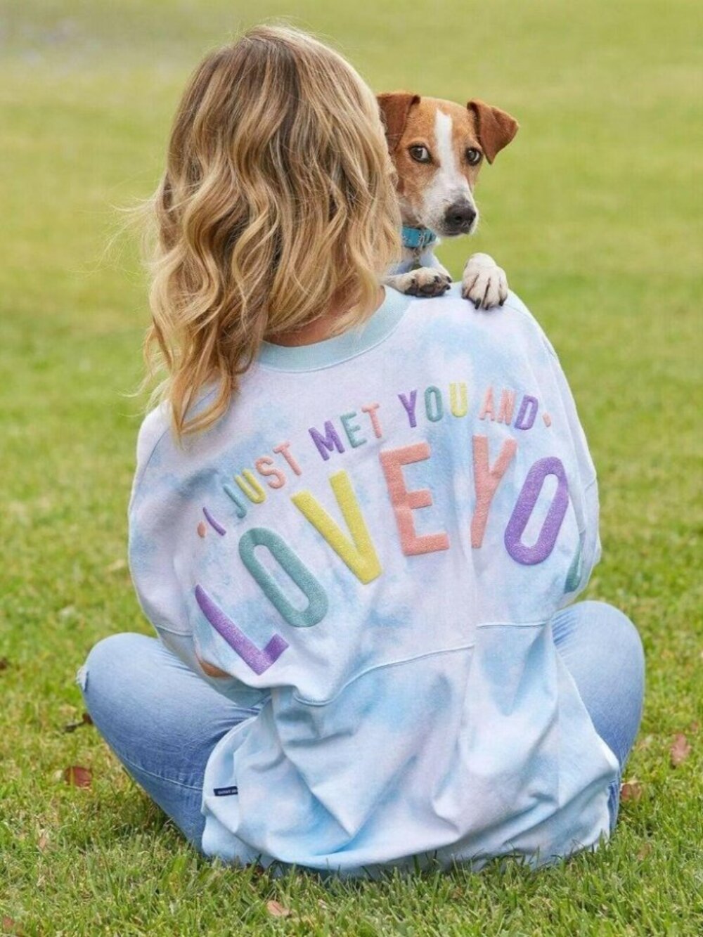 Disney Spirit Jersey Blue Dug UP Pullover Sweater